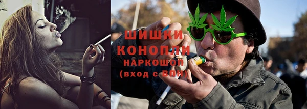 амф Дмитриев