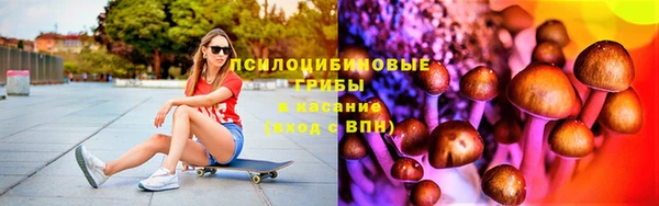 амф Дмитриев