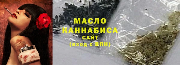 амф Дмитриев