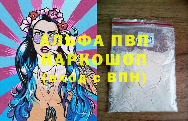 СК Дмитров