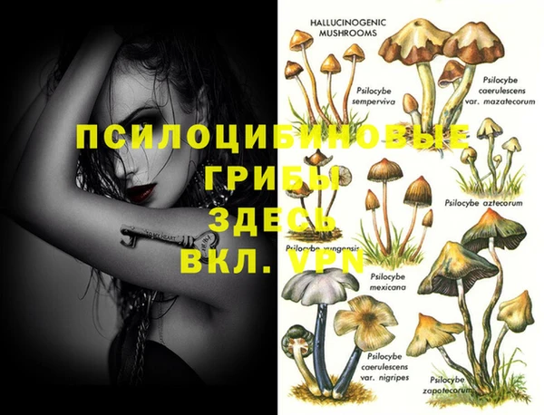 амф Дмитриев