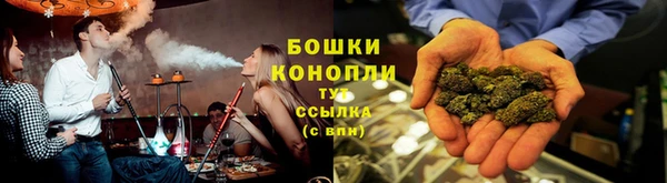 СК Дмитров