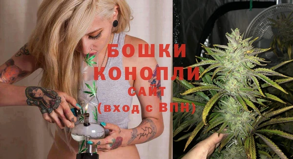 амф Дмитриев