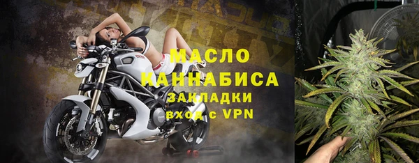 амф Дмитриев