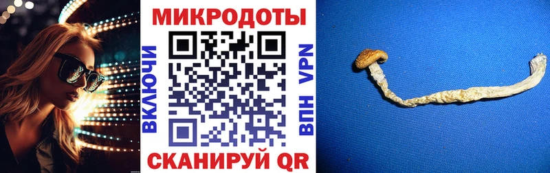 Галлюциногенные грибы Cubensis  Купить закладки  Карабаш 